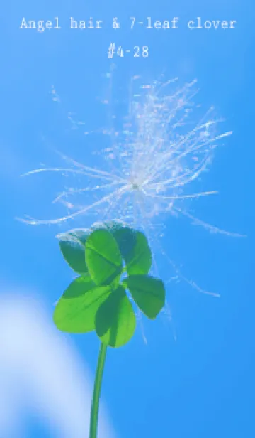 [LINE着せ替え] ケサランパサラン&七つ葉クローバー #4-28の画像1