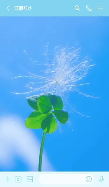 [LINE着せ替え] ケサランパサラン&七つ葉クローバー #4-28の画像2