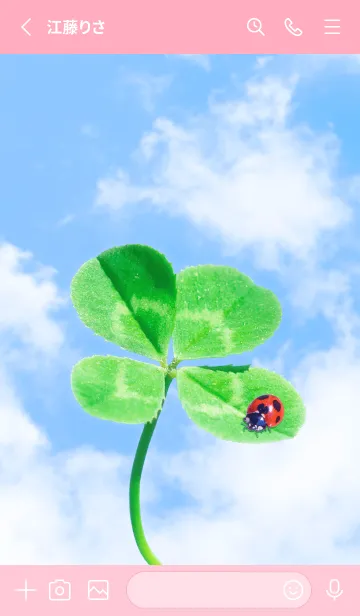 [LINE着せ替え] 本物ラッキークローバー+Ladybird #1-18の画像2