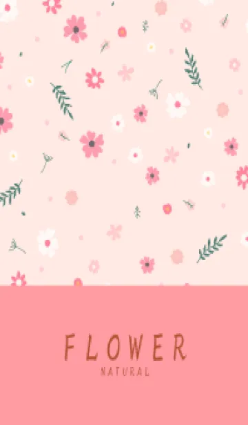 FLOWER SALMONPINK -NATURAL-40の着せ替えメイン画像