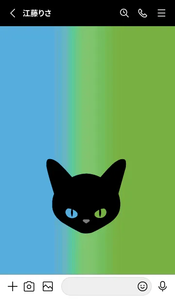 [LINE着せ替え] ブラック キャット 235の画像2
