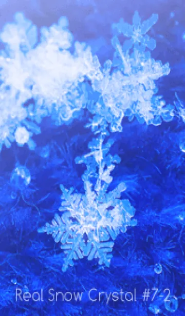 [LINE着せ替え] Real Snow Crystal #7-2の画像1