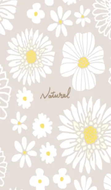 [LINE着せ替え] 色々な白い花8の画像1