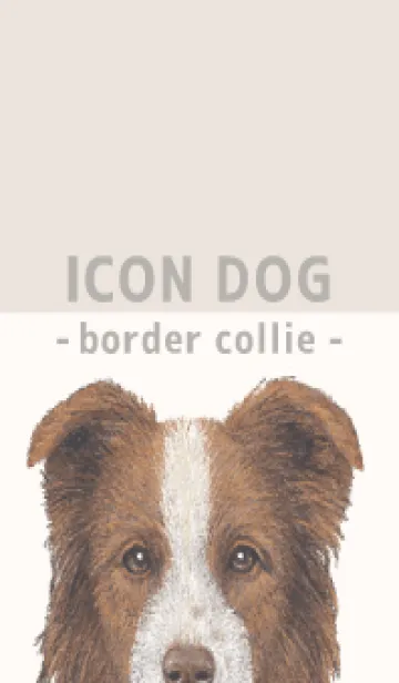 [LINE着せ替え] ICON DOG - ボーダーコリー - BEIGE/04の画像1