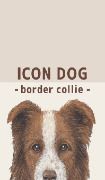 [LINE着せ替え] ICON DOG - ボーダーコリー - BROWN/04の画像1