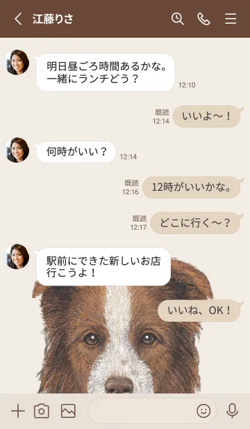 [LINE着せ替え] ICON DOG - ボーダーコリー - BROWN/04の画像3