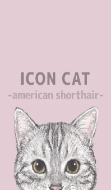 [LINE着せ替え] ICON CAT - アメショ - PASTEL PK/05の画像1