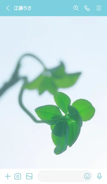 [LINE着せ替え] 七つ葉のクローバー 無限の幸福 #10-30の画像2