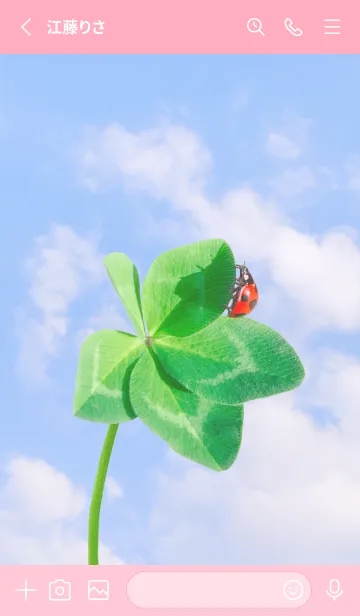 [LINE着せ替え] 本物ラッキークローバー+Ladybird #2-19の画像2