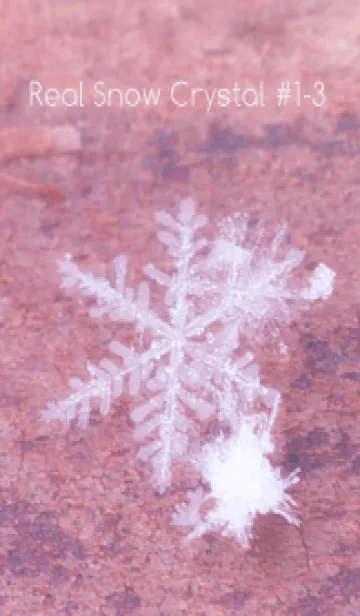 [LINE着せ替え] Real Snow Crystal #1-3の画像1