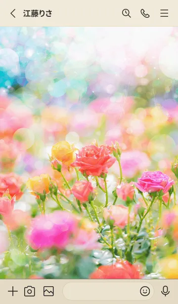 [LINE着せ替え] 薔薇(バラ)の花の着せかえ(R984)の画像2