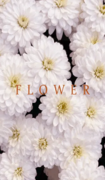 [LINE着せ替え] FLOWER -KIKU- 71の画像1