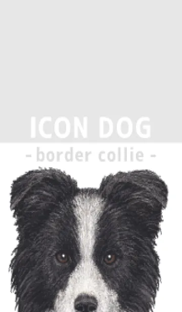 [LINE着せ替え] ICON DOG - ボーダーコリー - GRAY/05の画像1