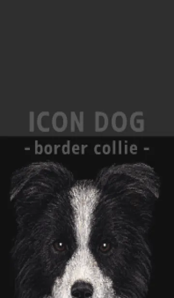 [LINE着せ替え] ICON DOG - ボーダーコリー - BLACK/05の画像1
