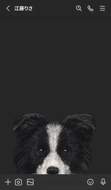 [LINE着せ替え] ICON DOG - ボーダーコリー - BLACK/05の画像2