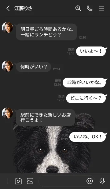 [LINE着せ替え] ICON DOG - ボーダーコリー - BLACK/05の画像3