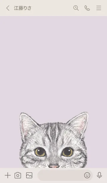 [LINE着せ替え] ICON CAT - アメショ - PASTEL PL/05の画像2