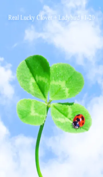[LINE着せ替え] 本物ラッキークローバー+Ladybird #1-20の画像1