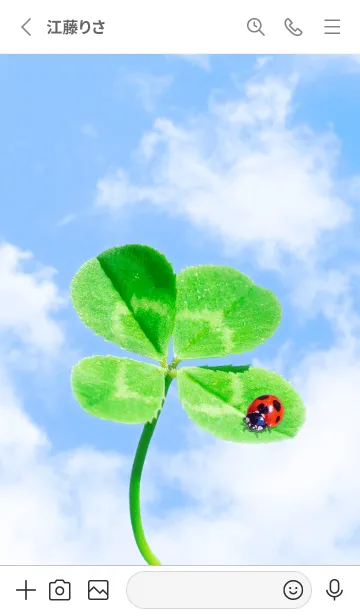 [LINE着せ替え] 本物ラッキークローバー+Ladybird #1-20の画像2
