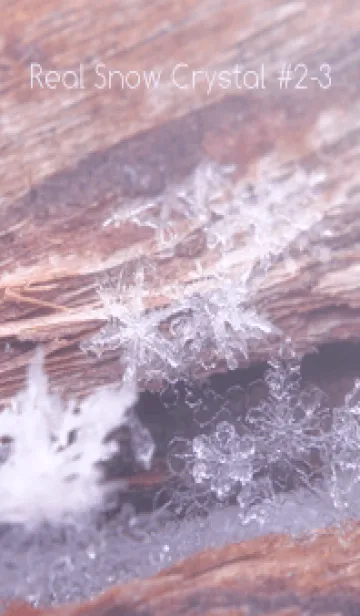 [LINE着せ替え] Real Snow Crystal #2-3の画像1