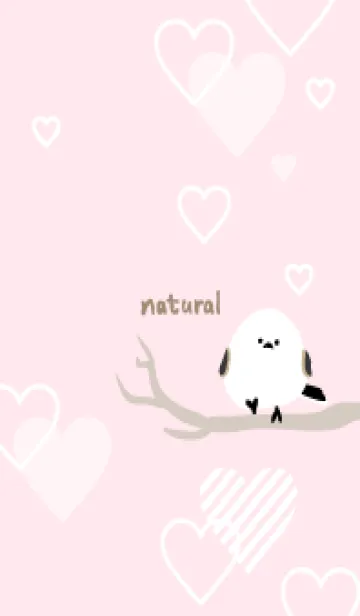 [LINE着せ替え] シマエナガ ハート13の画像1