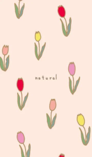 [LINE着せ替え] チューリップ たくさん26の画像1