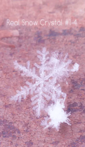 [LINE着せ替え] Real Snow Crystal #1-4の画像1