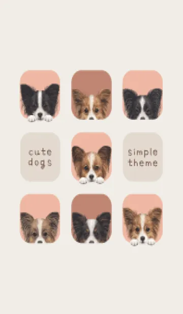 [LINE着せ替え] DOGS - パピヨン - サーモンピンクの画像1