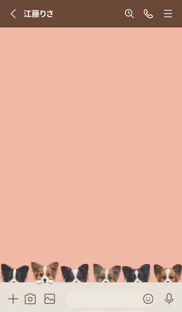 [LINE着せ替え] DOGS - パピヨン - サーモンピンクの画像2