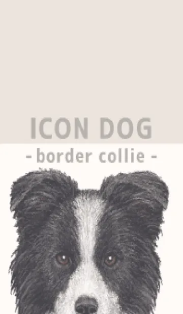 [LINE着せ替え] ICON DOG - ボーダーコリー - BEIGE/05の画像1