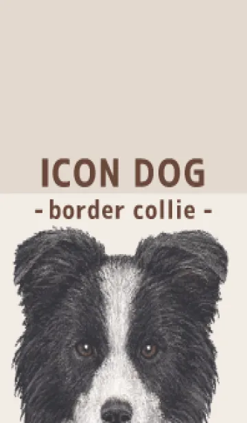 [LINE着せ替え] ICON DOG - ボーダーコリー - BROWN/05の画像1