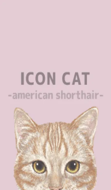 [LINE着せ替え] ICON CAT - アメショ - PASTEL PK/06の画像1