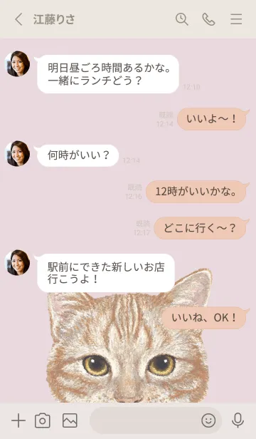 [LINE着せ替え] ICON CAT - アメショ - PASTEL PK/06の画像3