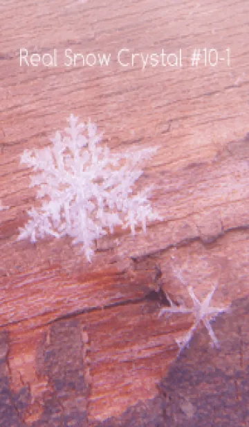 [LINE着せ替え] Real Snow Crystal #10-1の画像1