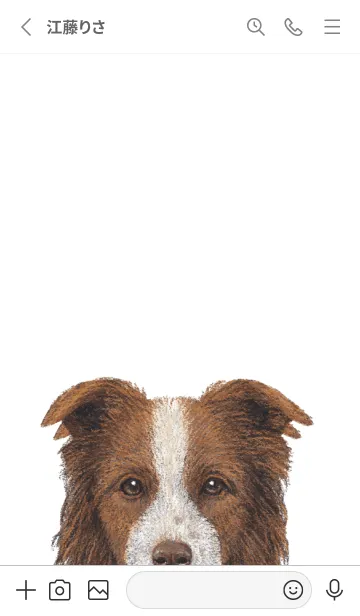 [LINE着せ替え] ICON DOG - ボーダーコリー - GRAY/06の画像2