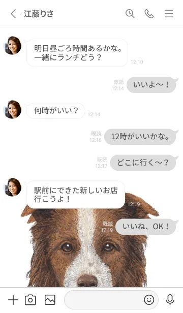 [LINE着せ替え] ICON DOG - ボーダーコリー - GRAY/06の画像3