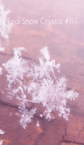 [LINE着せ替え] Real Snow Crystal #11-1の画像1