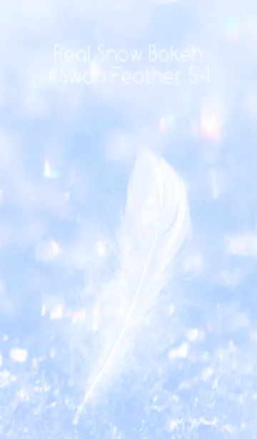 [LINE着せ替え] Real Snow Bokeh #Swan Feather 5-1の画像1