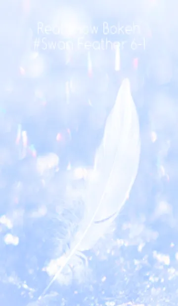 [LINE着せ替え] Real Snow Bokeh #Swan Feather 6-1の画像1