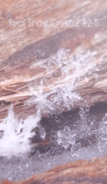 [LINE着せ替え] Real Snow Crystal #2-5の画像1