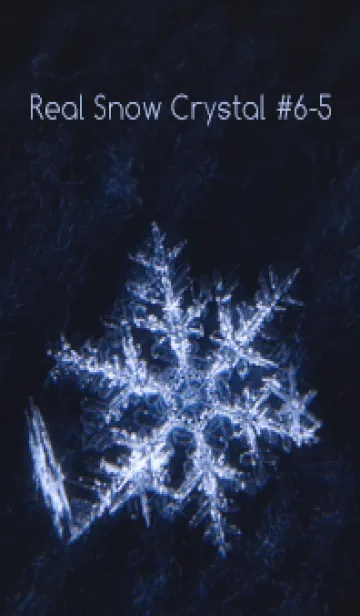 [LINE着せ替え] Real Snow Crystal #6-5の画像1