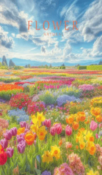 [LINE着せ替え] FLOWER GARDEN -Happy-46の画像1