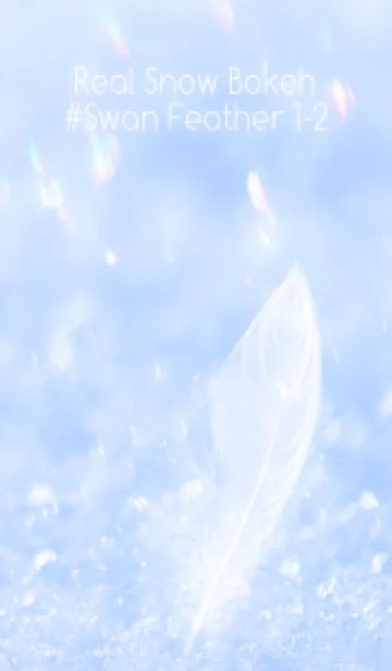 [LINE着せ替え] Real Snow Bokeh #Swan Feather 1-2の画像1