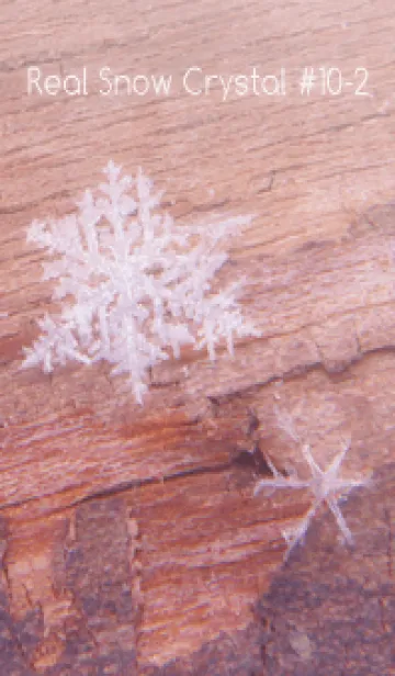 [LINE着せ替え] Real Snow Crystal #10-2の画像1