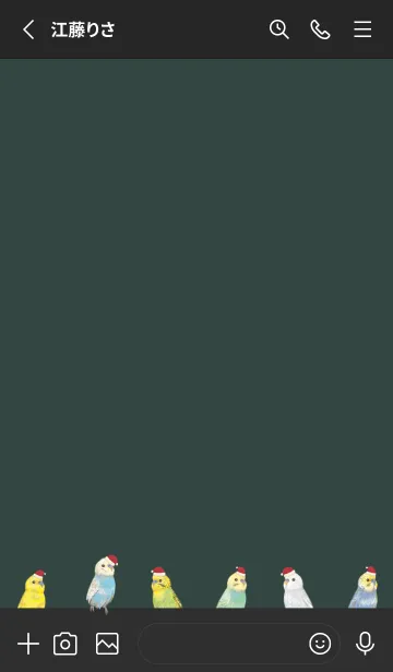 [LINE着せ替え] BIRDS - インコ 01 - クリスマスの画像2