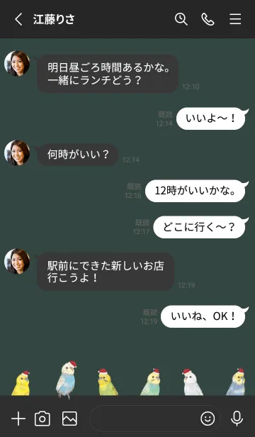 [LINE着せ替え] BIRDS - インコ 01 - クリスマスの画像3