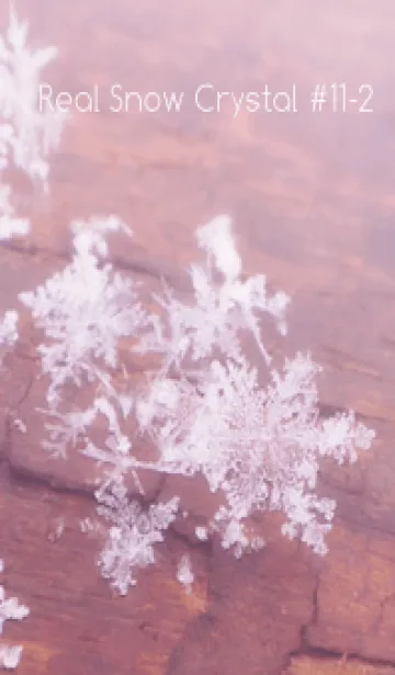 [LINE着せ替え] Real Snow Crystal #11-2の画像1