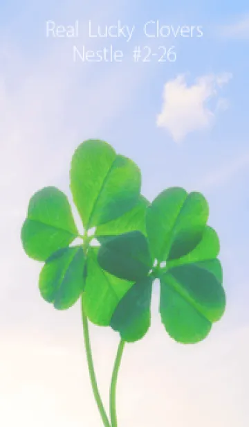 [LINE着せ替え] 本物ラッキークローバーズ Nestle #2-26の画像1