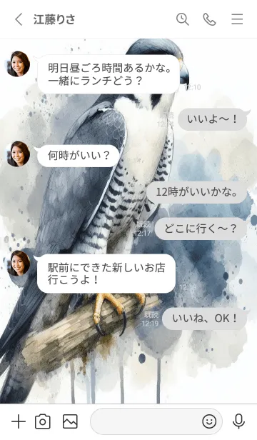 [LINE着せ替え] 空の王ハヤブサの画像3