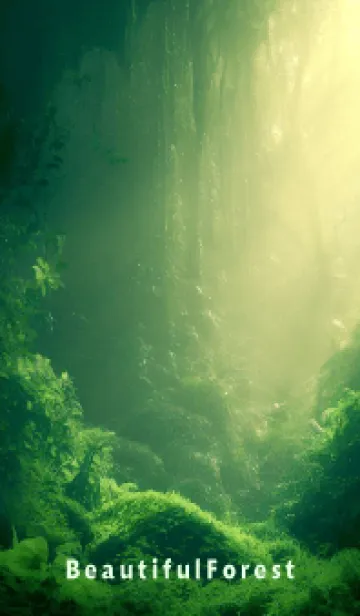 [LINE着せ替え] Beautiful Forest-HEALING- 2の画像1